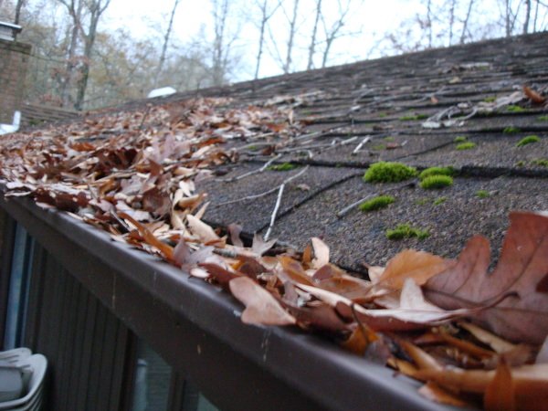 Read more about the article Keep Your Gutters and Downspouts Running Smoothly With Maintenance